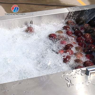 Revolutionize Your Production Process with Our Fruit And Vegetable Processing Line