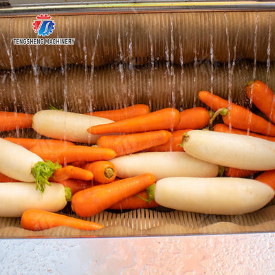 Potato Carrot Taro Sweet potato Yam Saiko persimmon Brush washing and peeling machine processing production Destoning Supplying