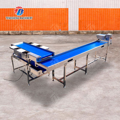 Conveyor Production Line Simplified Orange Potato  Onions Ginger Potato Carrot Taro Sweet potato Yam Saiko persimmon papaya horseshoe processing production Grading Transporting Machine