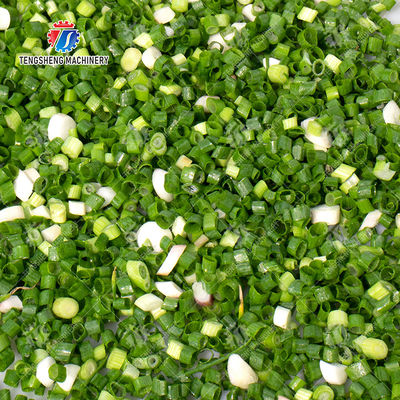 600-1000KG/H 220V Industrial Commercial Mushroom Slicer Machine (TS-Q115)