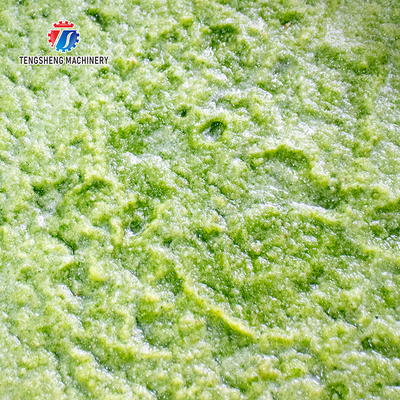 Saiko persimmon Apple Ginger chili onion garlic minced meat minced pork fruit juice orange juice Tomato juice apple juice celery juice Celery Celery Juice kale Kale Juice ginger juice