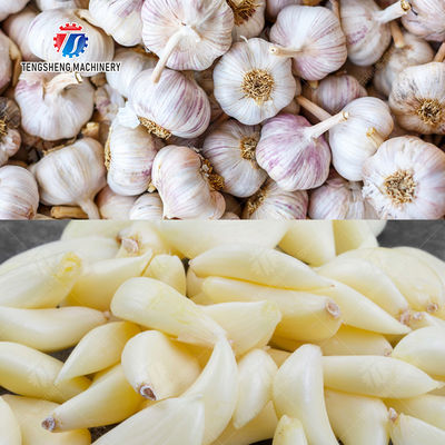 Garlic Peeling processing production Machine minced garlic processing production