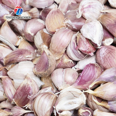 Garlic splitting machine minced garlic processing production Line