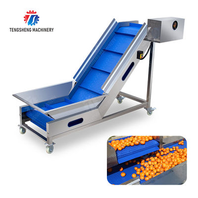 Washing Hoisting machine Fruit Orange Vegetable Apple pineapple Ginger Potato Carrot Sweet potato Yam cucumber chili onion okra Lettuce Cao Xin Baby Cabbage Chinese Cabbage processing production