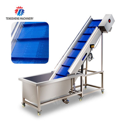 Passion Fruit Kiwi Fruit Mango Strawberry lemon ginger kale Celery apple Tomato orange Baby Cabbage Chinese Cabbage Cabbage corn chili Washer Washing Dryer  Pre-foaming elevator