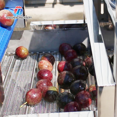 Revolutionize Your Production Process with Our Fruit And Vegetable Processing Line