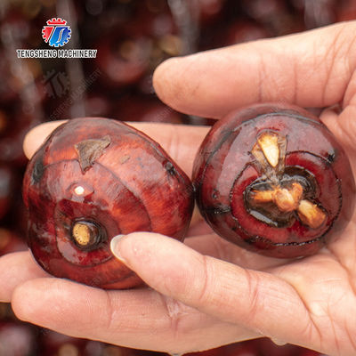 Ginger Potato Carrot Taro Sweet potato Yam Saiko persimmon papaya horseshoe Sealed Cover Type Peeling Machine Wash Washer Washing Cleaning