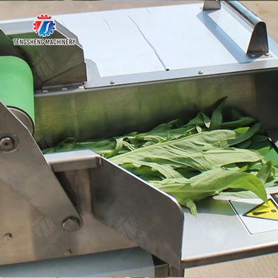 Orange Potato  Onions Ginger Potato Carrot Taro Sweet potato Yam Saiko persimmon papaya horseshoe 2025 Fruit and vegetable cutting, cleaning and air-drying production line