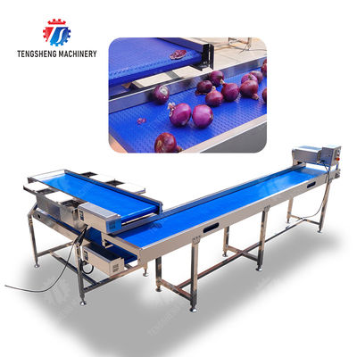 Conveyor Production Line Simplified Orange Potato  Onions Ginger Potato Carrot Taro Sweet potato Yam Saiko persimmon papaya horseshoe processing production Grading Transporting Machine