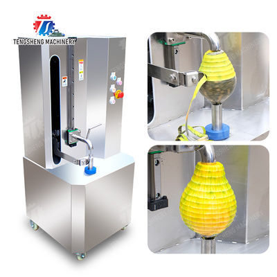 Single knife peeling machine papaya chieh-qua pumpkin wax gourd Taro Peeling polishing processing production