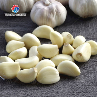 Garlic Peeling processing production Machine minced garlic processing production