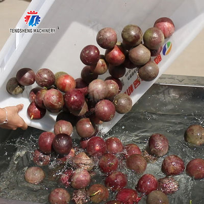 Fruit Orange Potatoes round tuber crops Carrots longitudinal root Onions Leafy vegetables Cabbage varieties Apple chieh-qua Ginger Potato Carrot radish lemon kiwi fruit Passion Pre foaming elevator