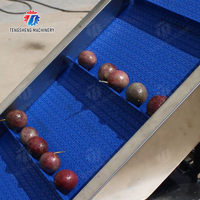 Fruit Orange Potatoes round tuber crops Carrots longitudinal root Onions Leafy vegetables Cabbage varieties Apple chieh-qua Ginger Potato Carrot radish lemon kiwi fruit Passion Pre foaming elevator