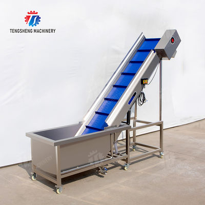 Passion Fruit Kiwi Fruit Mango Strawberry lemon ginger kale Celery apple Tomato orange Baby Cabbage Chinese Cabbage Cabbage corn chili Washer Washing Dryer  Pre-foaming elevator