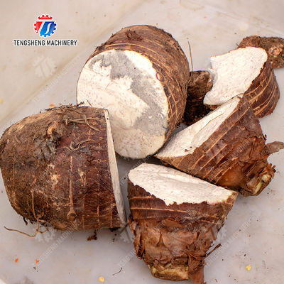 Fruit and vegetable slicing machine  Apple papaya chieh-qua pumpkin wax gourd Potato Carrot radish Taro watermelon Hami Melon cucumber towel gourd balsam pear Baby Cabbage Chinese Cabbage