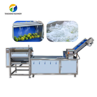 Citrus Stalk กำจัดมะนาวเครื่องจักรแปรรูปอุตสาหกรรมแปรงฟองอากาศ