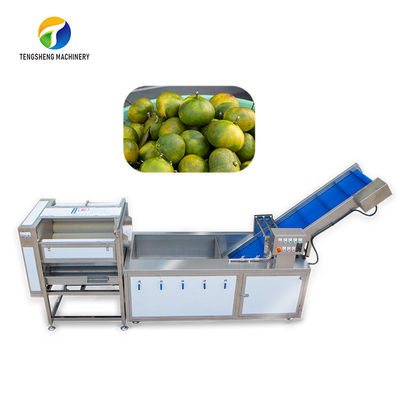 สายการผลิตผลไม้การคัดแยกการขัดฝุ่นการควบคุมการทำความสะอาดผักสับปะรด